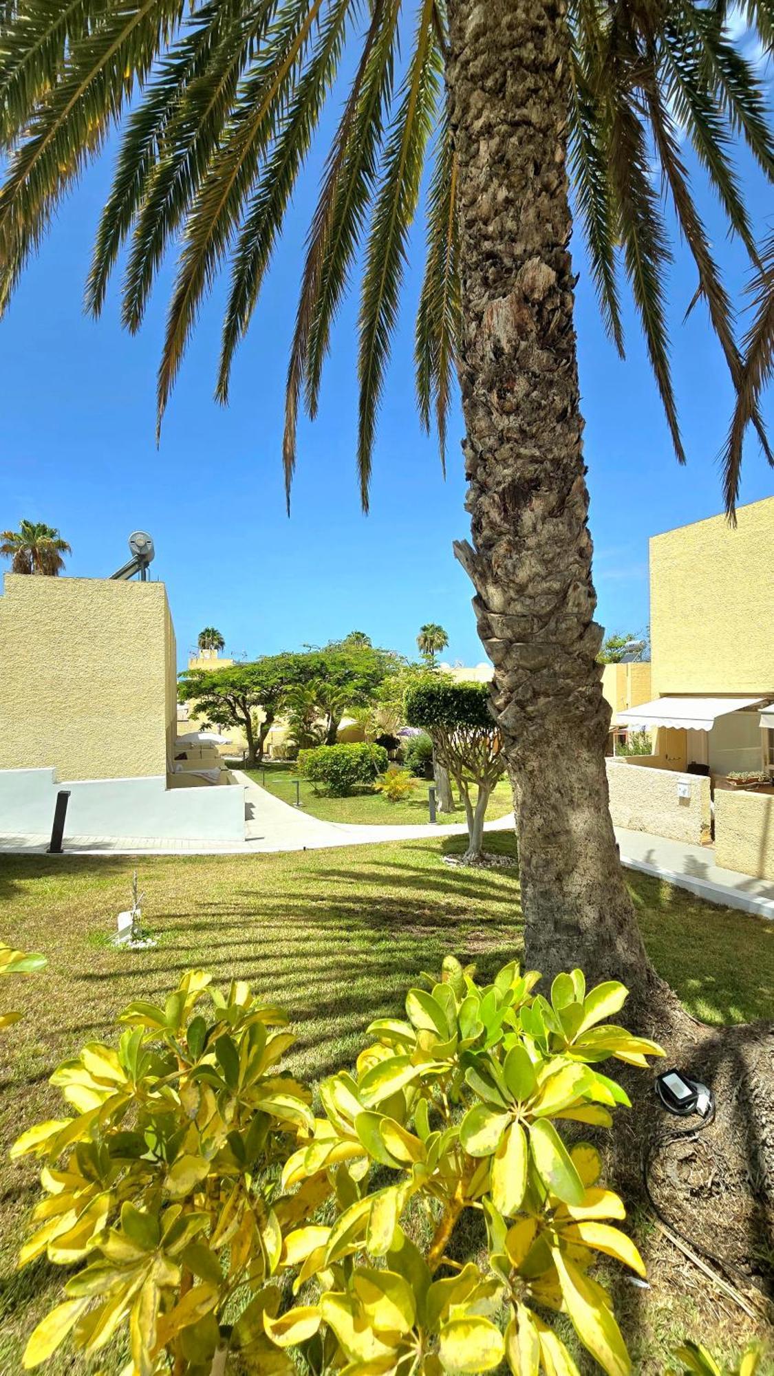 Dream Holiday Las Americas Playa de las Americas  Luaran gambar